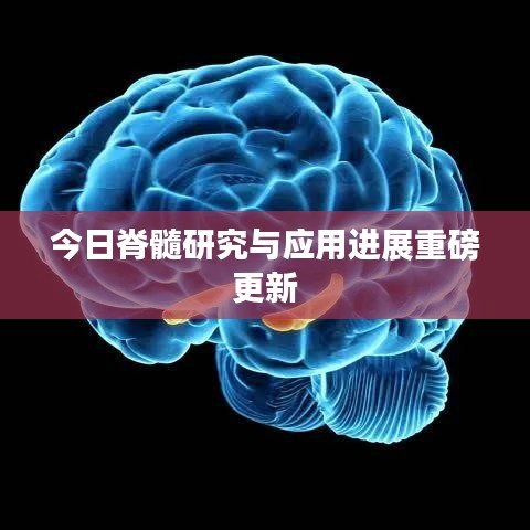 今日脊髓研究與應(yīng)用進(jìn)展重磅更新