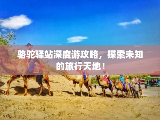 駱駝驛站深度游攻略，探索未知的旅行天地！