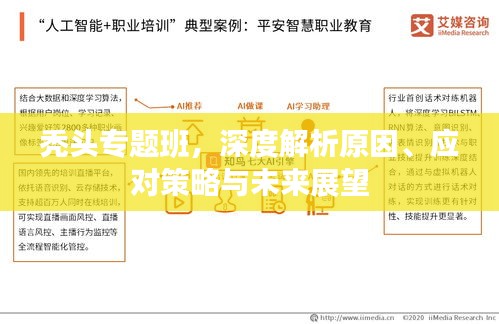禿頭專題班，深度解析原因、應對策略與未來展望