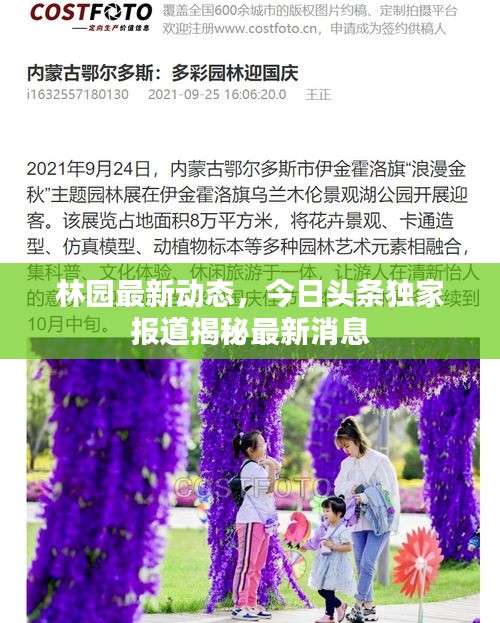 林園最新動態(tài)，今日頭條獨家報道揭秘最新消息