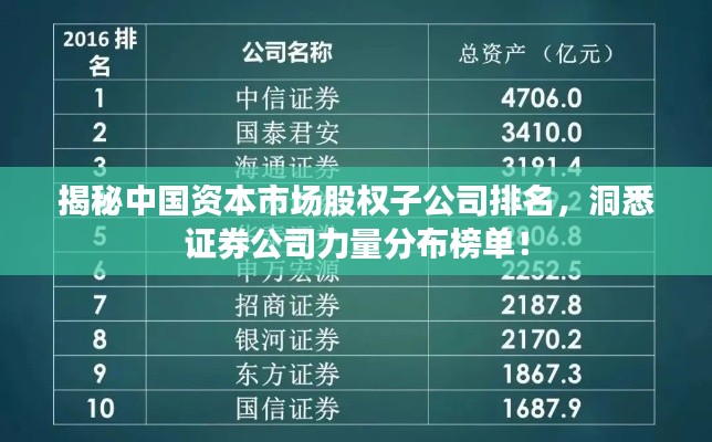 揭秘中國(guó)資本市場(chǎng)股權(quán)子公司排名，洞悉證券公司力量分布榜單！