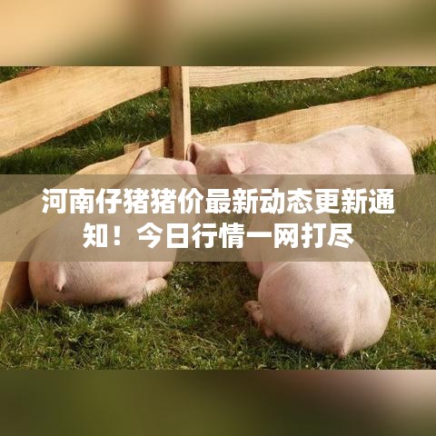 春雨貴如油 第2頁(yè)