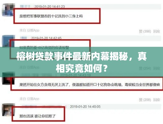 榕樹貸款事件最新內(nèi)幕揭秘，真相究竟如何？