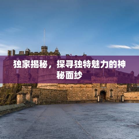 獨家揭秘，探尋獨特魅力的神秘面紗