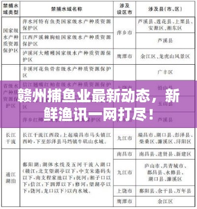 贛州捕魚業(yè)最新動態(tài)，新鮮漁訊一網(wǎng)打盡！