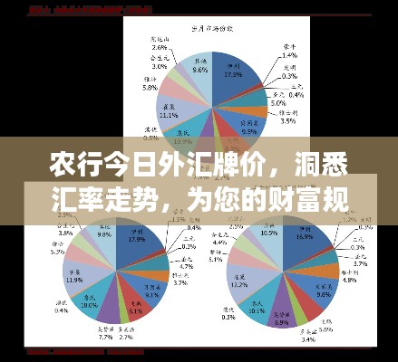 農(nóng)行今日外匯牌價，洞悉匯率走勢，為您的財富規(guī)劃指明方向