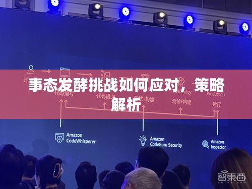 事態(tài)發(fā)酵挑戰(zhàn)如何應對，策略解析
