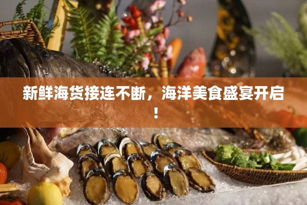 新鮮海貨接連不斷，海洋美食盛宴開啟！