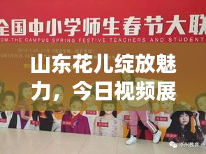 山東花兒綻放魅力，今日視頻展現(xiàn)全新風(fēng)采