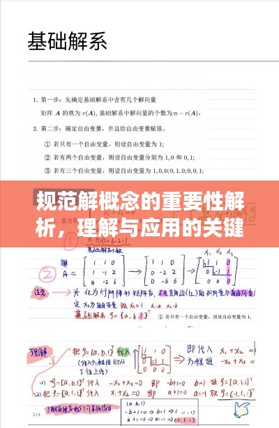 規(guī)范解概念的重要性解析，理解與應(yīng)用的關(guān)鍵基石