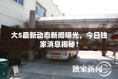 大S最新動(dòng)態(tài)新聞曝光，今日獨(dú)家消息揭秘！