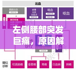 左側腰部突發(fā)巨痛，原因解析、診斷流程與治療方案