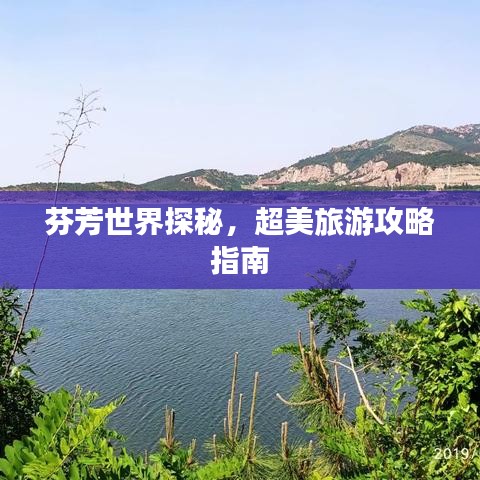 芬芳世界探秘，超美旅游攻略指南