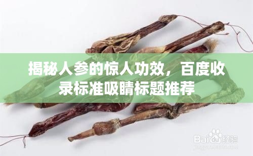 揭秘人參的驚人功效，百度收錄標(biāo)準(zhǔn)吸睛標(biāo)題推薦