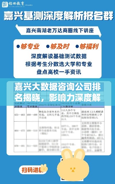 嘉興大數(shù)據(jù)咨詢公司排名揭曉，影響力深度解析