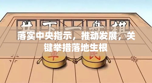 落實中央指示，推動發(fā)展，關鍵舉措落地生根
