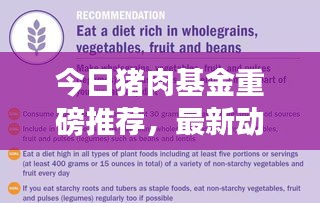 今日豬肉基金重磅推薦，最新動態(tài)、策略分析與盈利潛力探討