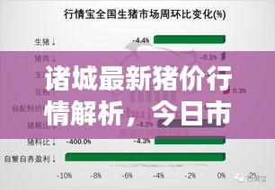 諸城最新豬價(jià)行情解析，今日市場(chǎng)走勢(shì)分析