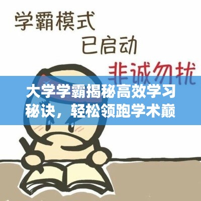 大學(xué)學(xué)霸揭秘高效學(xué)習(xí)秘訣，輕松領(lǐng)跑學(xué)術(shù)巔峰！