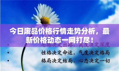 今日廢品價格行情走勢分析，最新價格動態(tài)一網打盡！