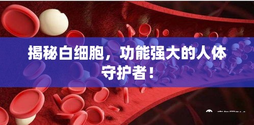 揭秘白細(xì)胞，功能強(qiáng)大的人體守護(hù)者！