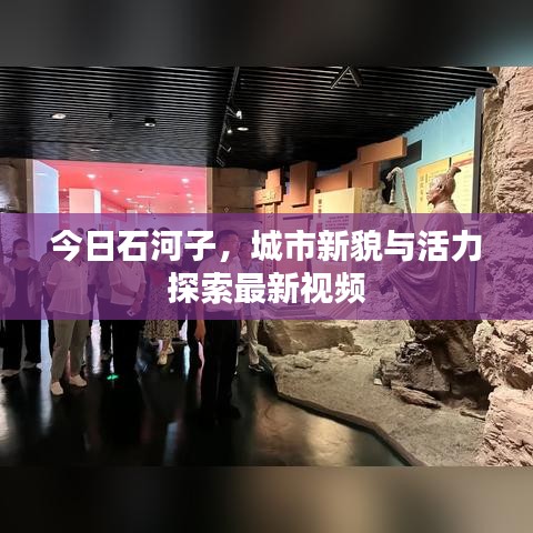 今日石河子，城市新貌與活力探索最新視頻
