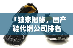 「獨(dú)家揭秘，國產(chǎn)鞋代銷公司排名，行業(yè)領(lǐng)軍者的力量不容小覷」