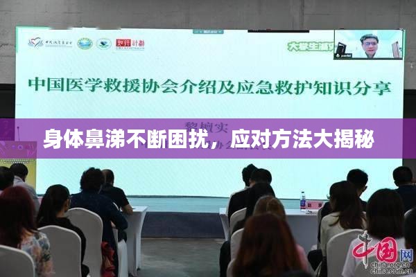 身體鼻涕不斷困擾，應對方法大揭秘