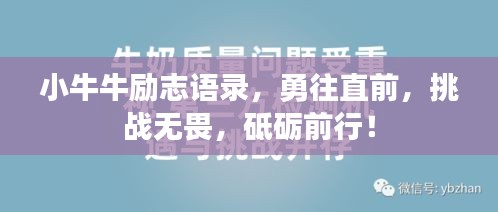 小牛牛勵志語錄，勇往直前，挑戰(zhàn)無畏，砥礪前行！