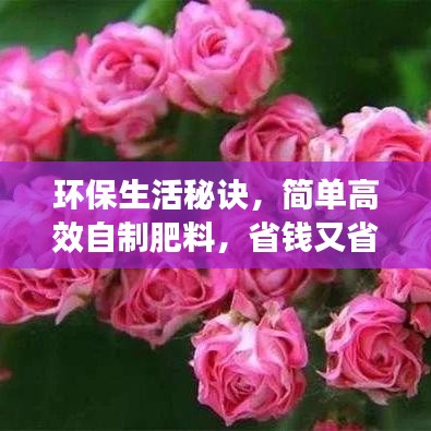 環(huán)保生活秘訣，簡(jiǎn)單高效自制肥料，省錢又省心！