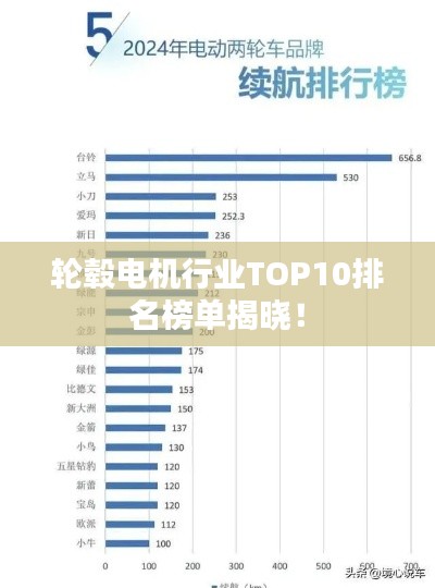 輪轂電機(jī)行業(yè)TOP10排名榜單揭曉！