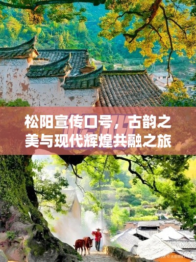 松陽宣傳口號，古韻之美與現(xiàn)代輝煌共融之旅