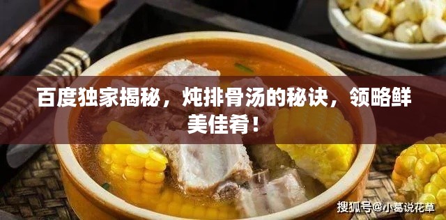 百度獨(dú)家揭秘，燉排骨湯的秘訣，領(lǐng)略鮮美佳肴！