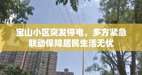 寶山小區(qū)突發(fā)停電，多方緊急聯(lián)動(dòng)保障居民生活無(wú)憂