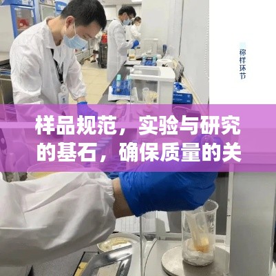樣品規(guī)范，實(shí)驗(yàn)與研究的基石，確保質(zhì)量的關(guān)鍵所在