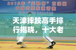 天津摔跤高手排行揭曉，十大老人實力上榜！