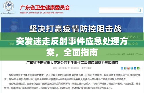 突發(fā)迷走反射事件應(yīng)急處理方案，全面指南