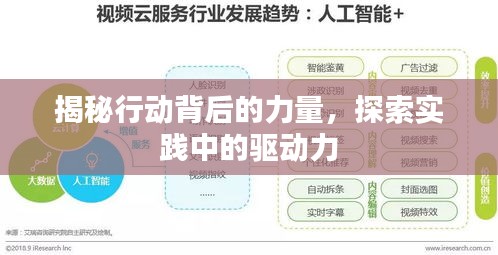 揭秘行動(dòng)背后的力量，探索實(shí)踐中的驅(qū)動(dòng)力