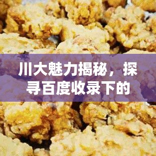 川大魅力揭秘，探尋百度收錄下的精彩世界！