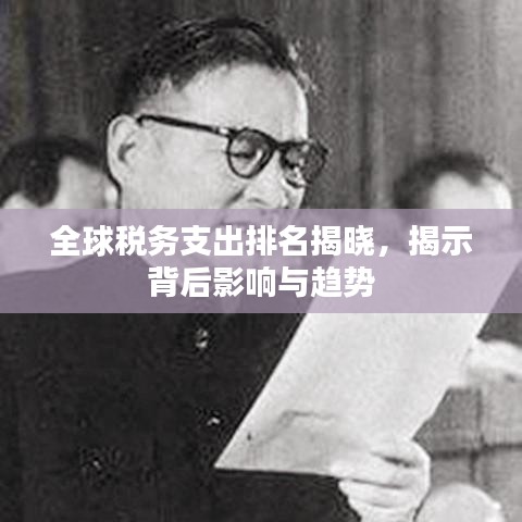 全球稅務(wù)支出排名揭曉，揭示背后影響與趨勢(shì)