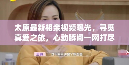 太原最新相親視頻曝光，尋覓真愛之旅，心動瞬間一網(wǎng)打盡！
