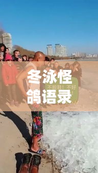 冬泳怪鴿語錄，挑戰(zhàn)極限，擁抱生活的力量，勵志心靈雞湯！
