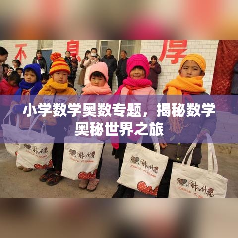 小學(xué)數(shù)學(xué)奧數(shù)專題，揭秘數(shù)學(xué)奧秘世界之旅