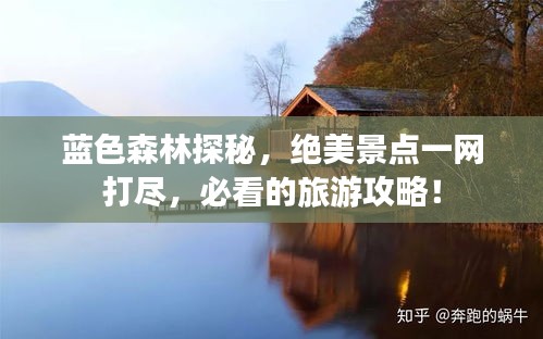 藍色森林探秘，絕美景點一網(wǎng)打盡，必看的旅游攻略！