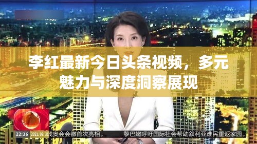李紅最新今日頭條視頻，多元魅力與深度洞察展現(xiàn)