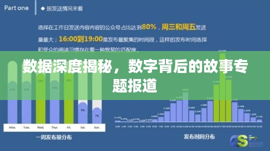 數(shù)據(jù)深度揭秘，數(shù)字背后的故事專題報道