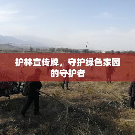 護林宣傳牌，守護綠色家園的守護者
