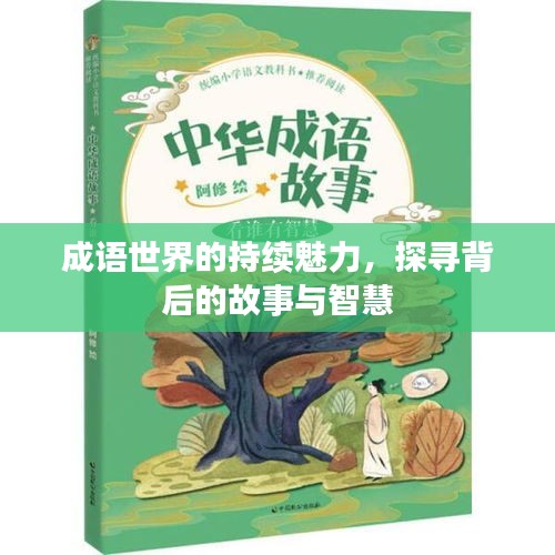 成語世界的持續(xù)魅力，探尋背后的故事與智慧