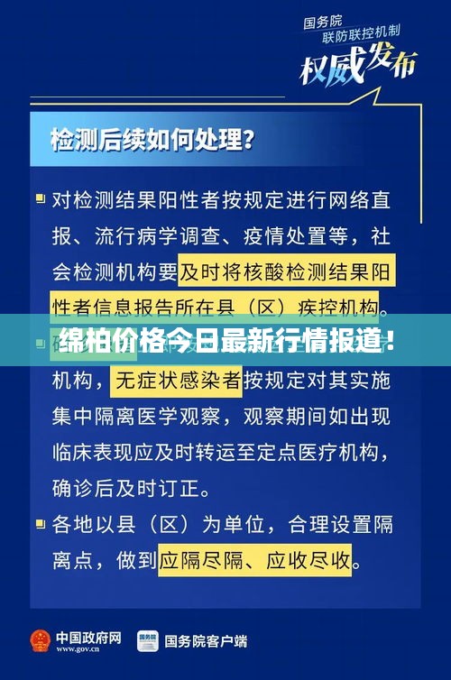 綿柏價(jià)格今日最新行情報(bào)道！