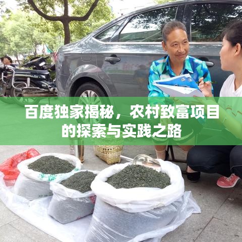 百度獨(dú)家揭秘，農(nóng)村致富項(xiàng)目的探索與實(shí)踐之路